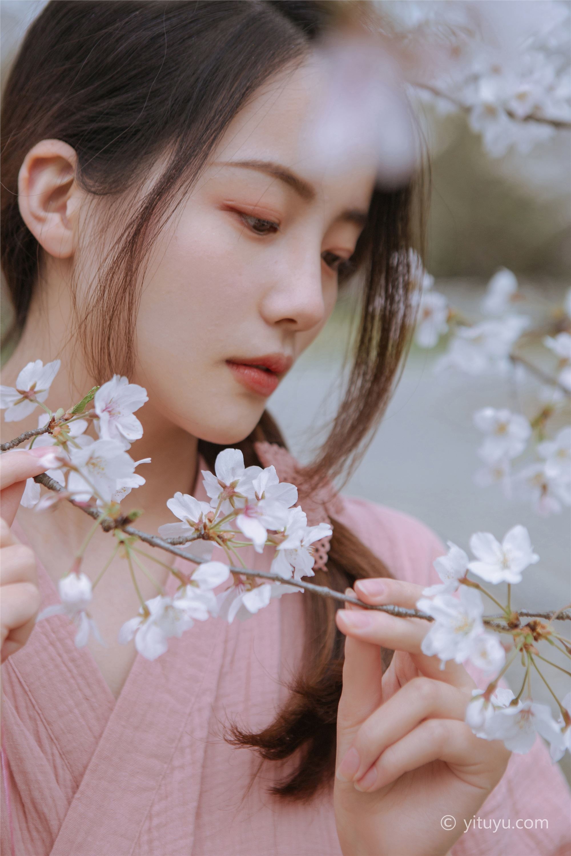 As the wind warms, cherry blossoms will be a small April